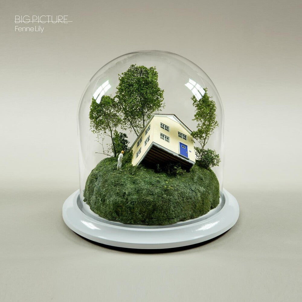 Big Picture [LP]
