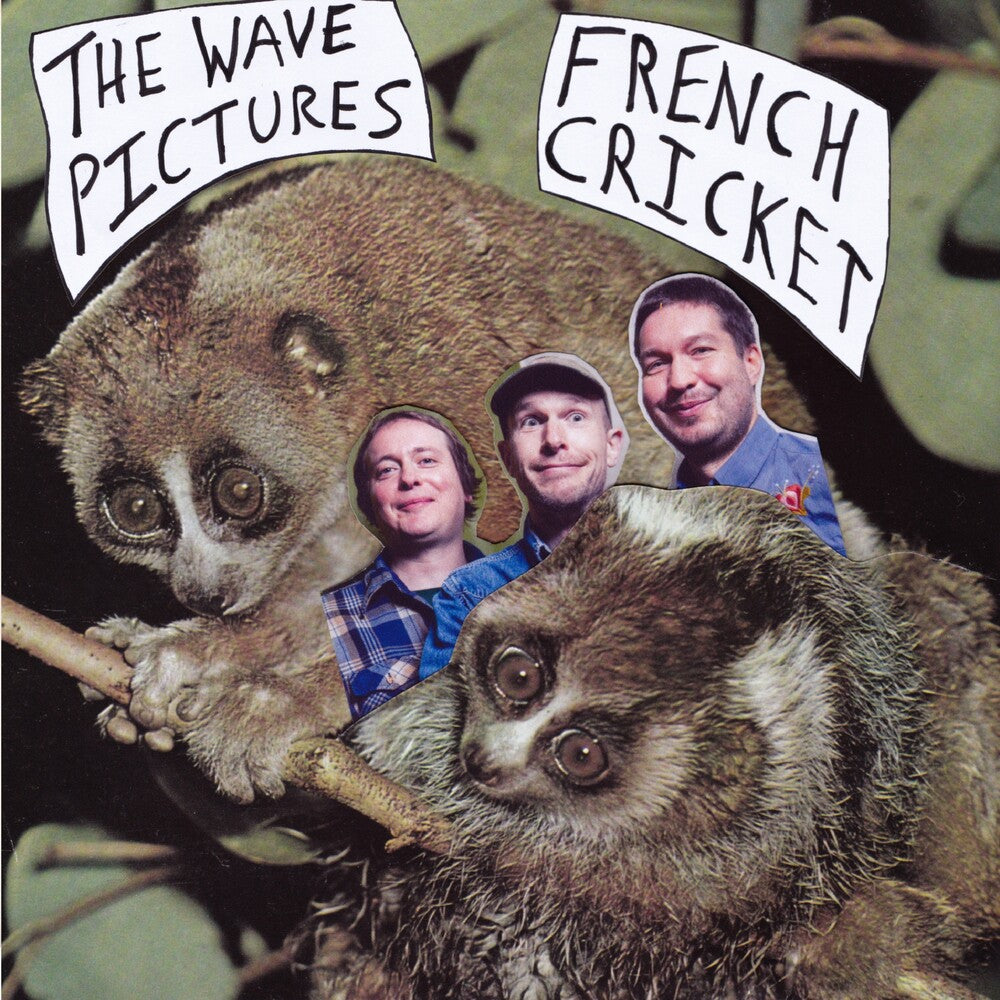 the album cover for Wave Pictures - French Cricket