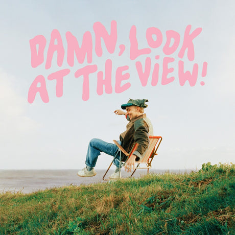 the album cover for Martin Brown - Damn Look At The View