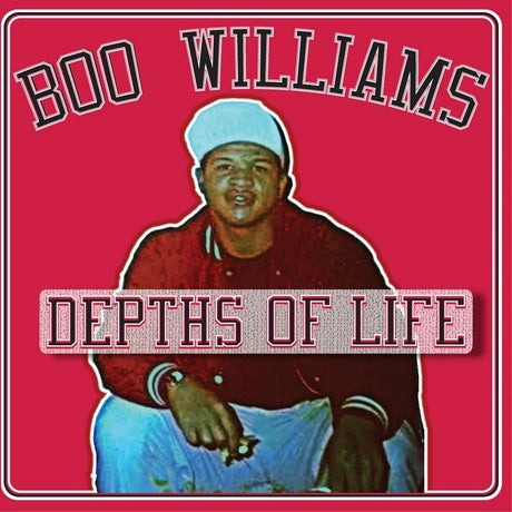 the album cover for Boo Williams - Family Affair Vol. 1 / Various