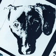 the album cover for Michael Leonhart  Orchestra - Denial - O.S.T.