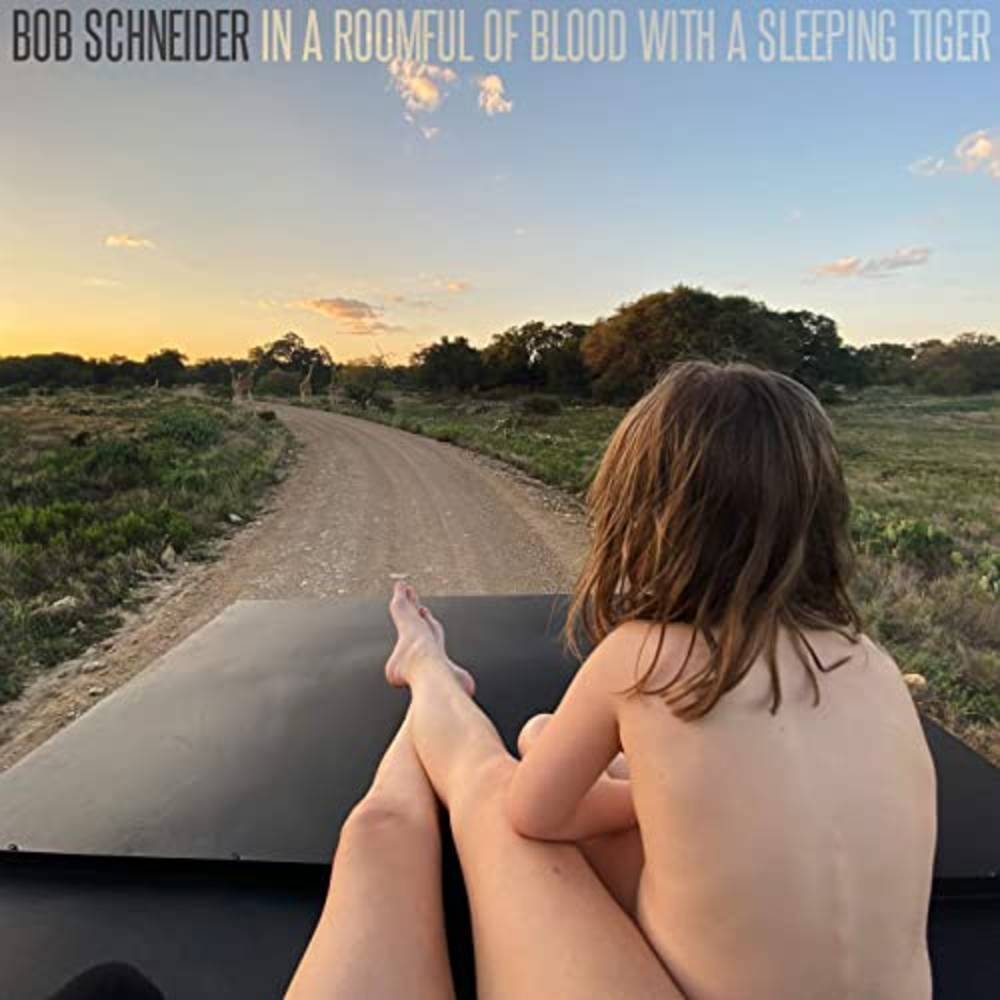 In a Roomful of Blood with a Sleeping Tiger [CD]