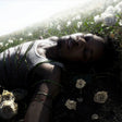 the album cover for d4vd - WITHERED [Indie Exclusive Signed Pure Cloudy White Vinyl]