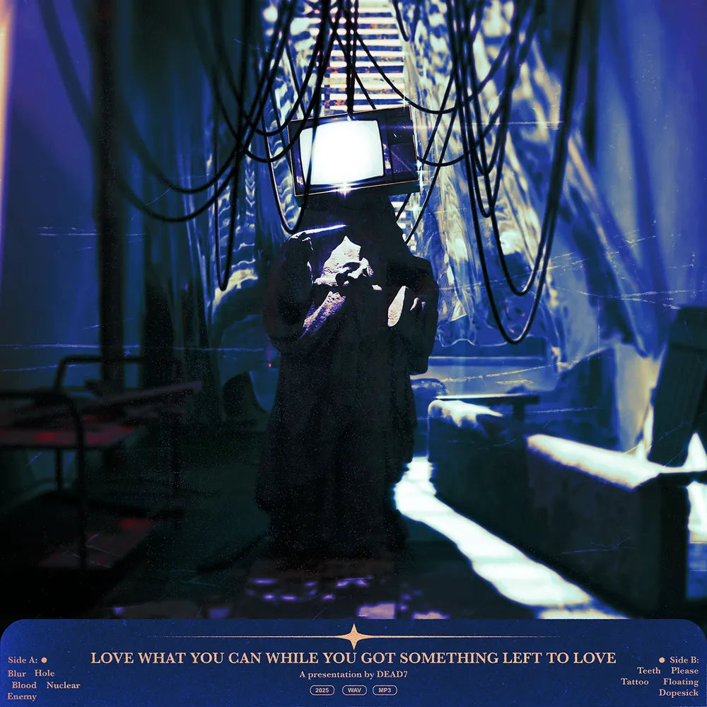 Love What You Can While You Got Something Left To [CD]