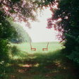 the album cover for Ratboys - Singin' to an Empty Chair [Indie Exclusive Autographed opaque green color 2LP]