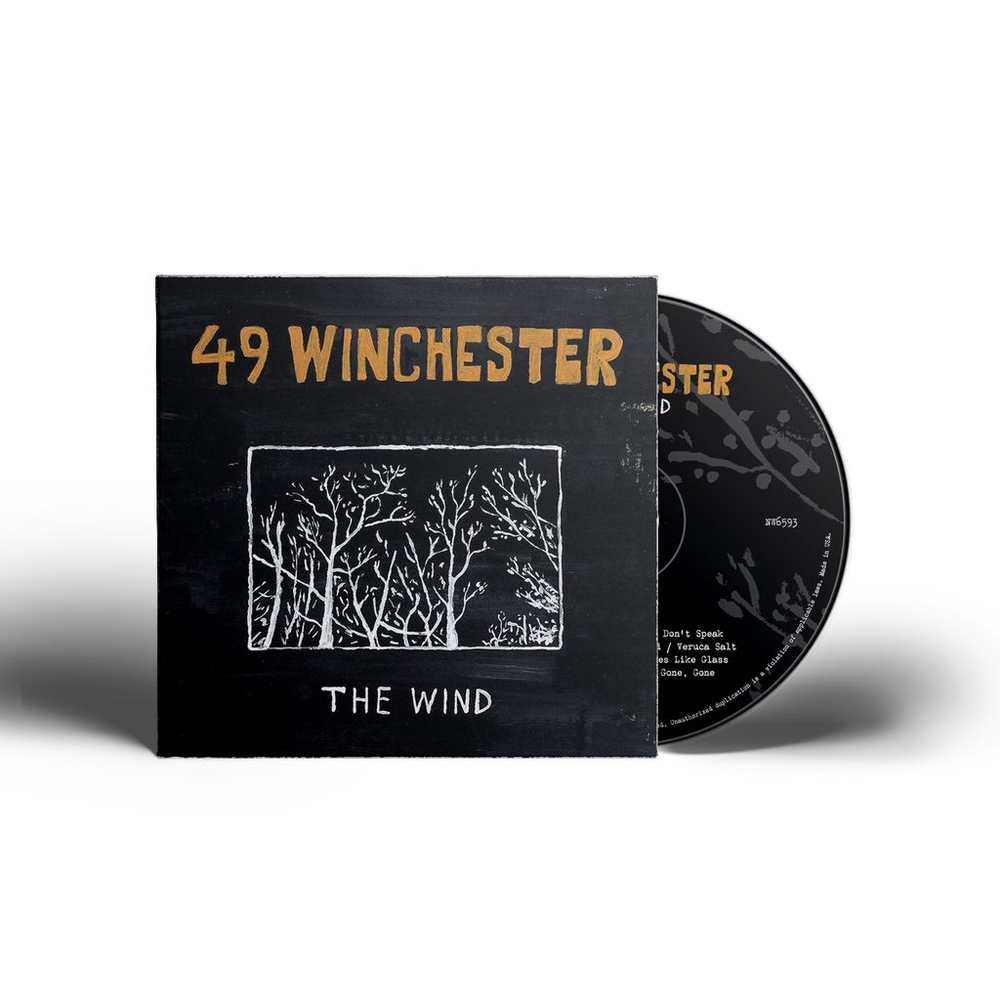 the album cover for 49 Winchester - The Wind
