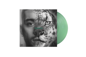 the album cover for Zayn - KONNAKOL [Swimming Through Seas]