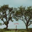 the album cover for Dylan Gossett - Ramblin'
