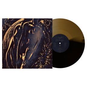 the album cover for Commoner - Former Self [Black Ice / Gold]