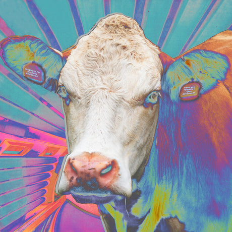 the album cover for Eye Of Others - Eyes Of Others