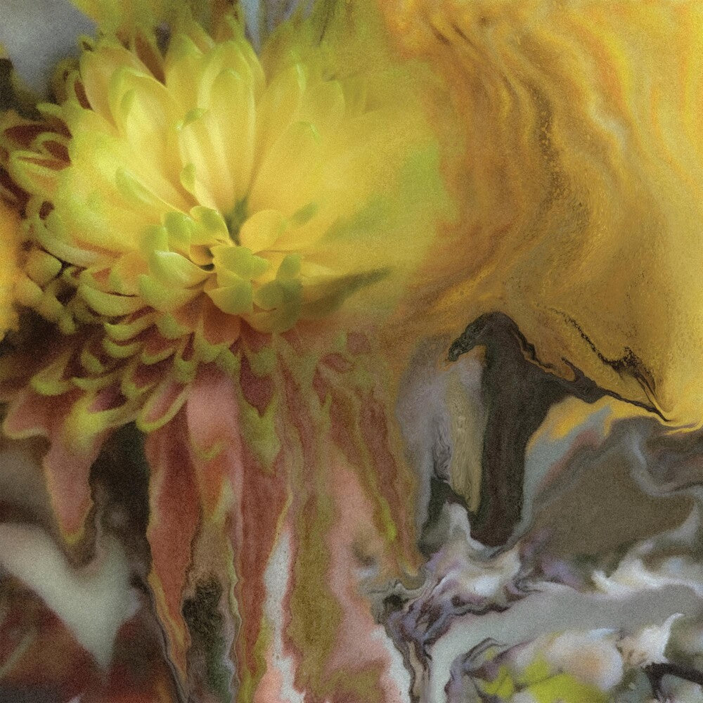 Wilderness Within You [Indie Exclusive Limited Edition Autographed Maroon LP]