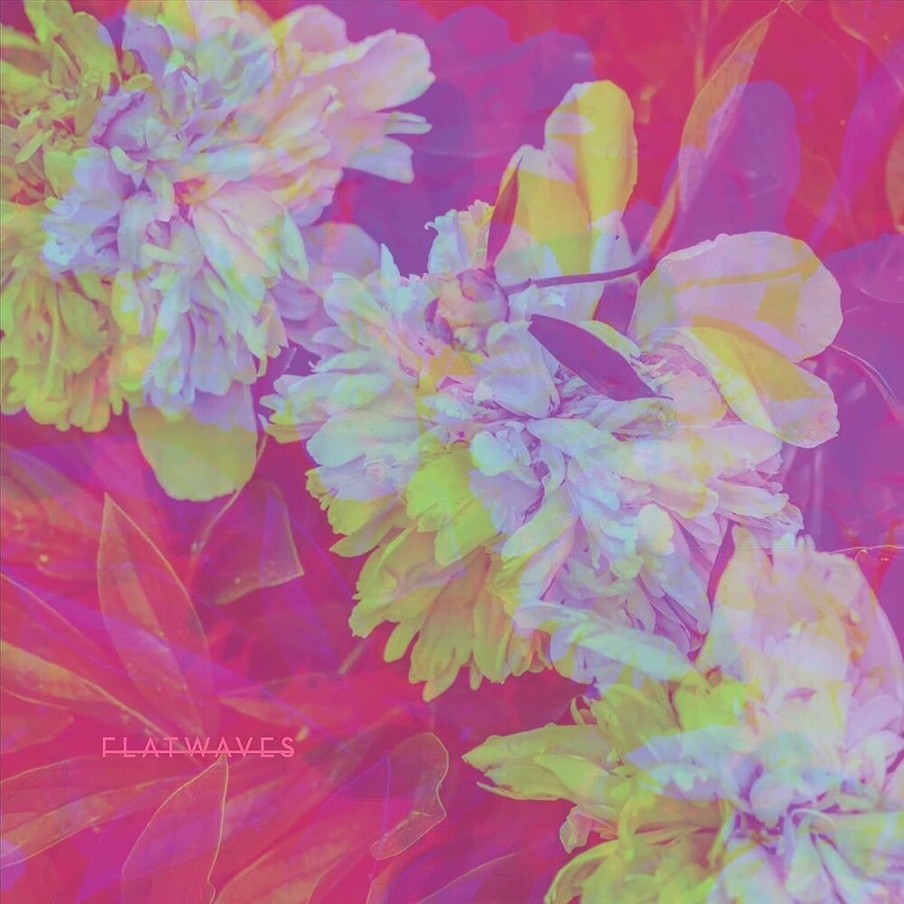 the album cover for Flatwaves - Numbra