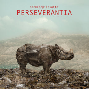 the album cover for Hackedepicciotto - Perseverantia
