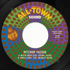 the album cover for Mitchum Yacoub - Never Knew
