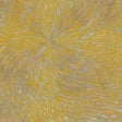 the album cover for Pjev / Kit Downes  / Chisholm,Hayden - Medna Roso
