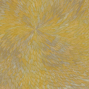 the album cover for Pjev / Kit Downes  / Chisholm,Hayden - Medna Roso