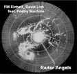 the album cover for Fm Einheit - Radal Angel [Colored Vinyl] (Gry) [Limited Edition] (Ita)