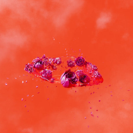 the album cover for Ami Dang - Living World's Demands