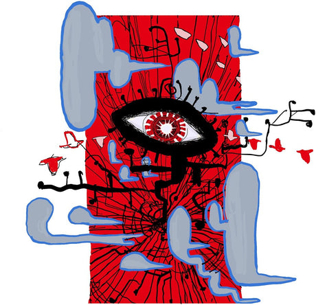 the album cover for Joni Void - Everyday Is The Song [180 Gram]