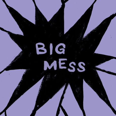 the album cover for Public Body - Big Mess