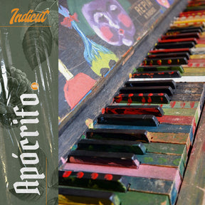 the album cover for Apocrifo / Georgia Muldrow  Anne - Indicut