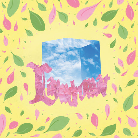 the album cover for Pickle Darling - Laundromat