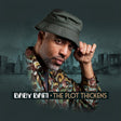 the album cover for Baby Bam - Plot Thickens
