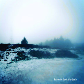 the album cover for Submotile - Sonic Day Codas