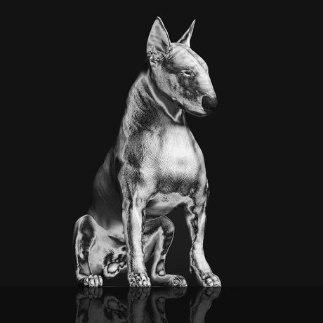 the album cover for Riskee & The Ridicule - Platinum Statue [Clear Vinyl]