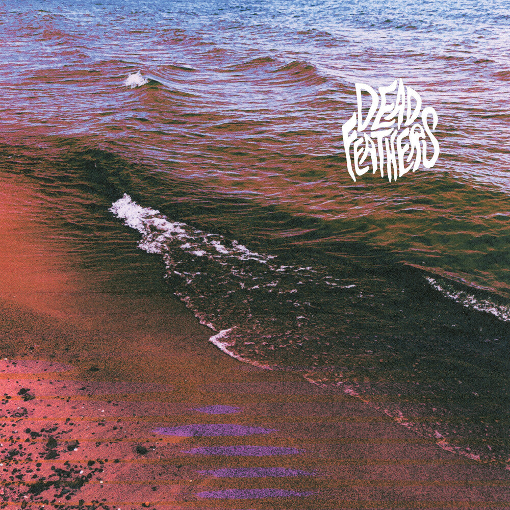 the album cover for Dead Feathers - Full Circle