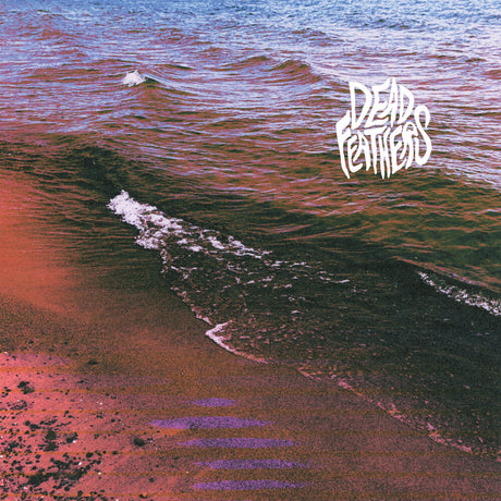 the album cover for Dead Feathers - Full Circle
