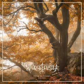 the album cover for Waldgefluster - Unter Bronzenen Kronen