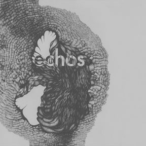 the album cover for Late Night Alumni - Echos