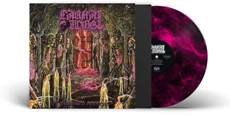 the album cover for Carnal Tomb - Embalmed In Decay - Magenta/Black Marble [Colored Vinyl]