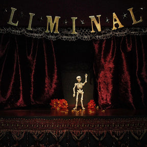 the album cover for Chase Petra - Liminal [Colored Vinyl]