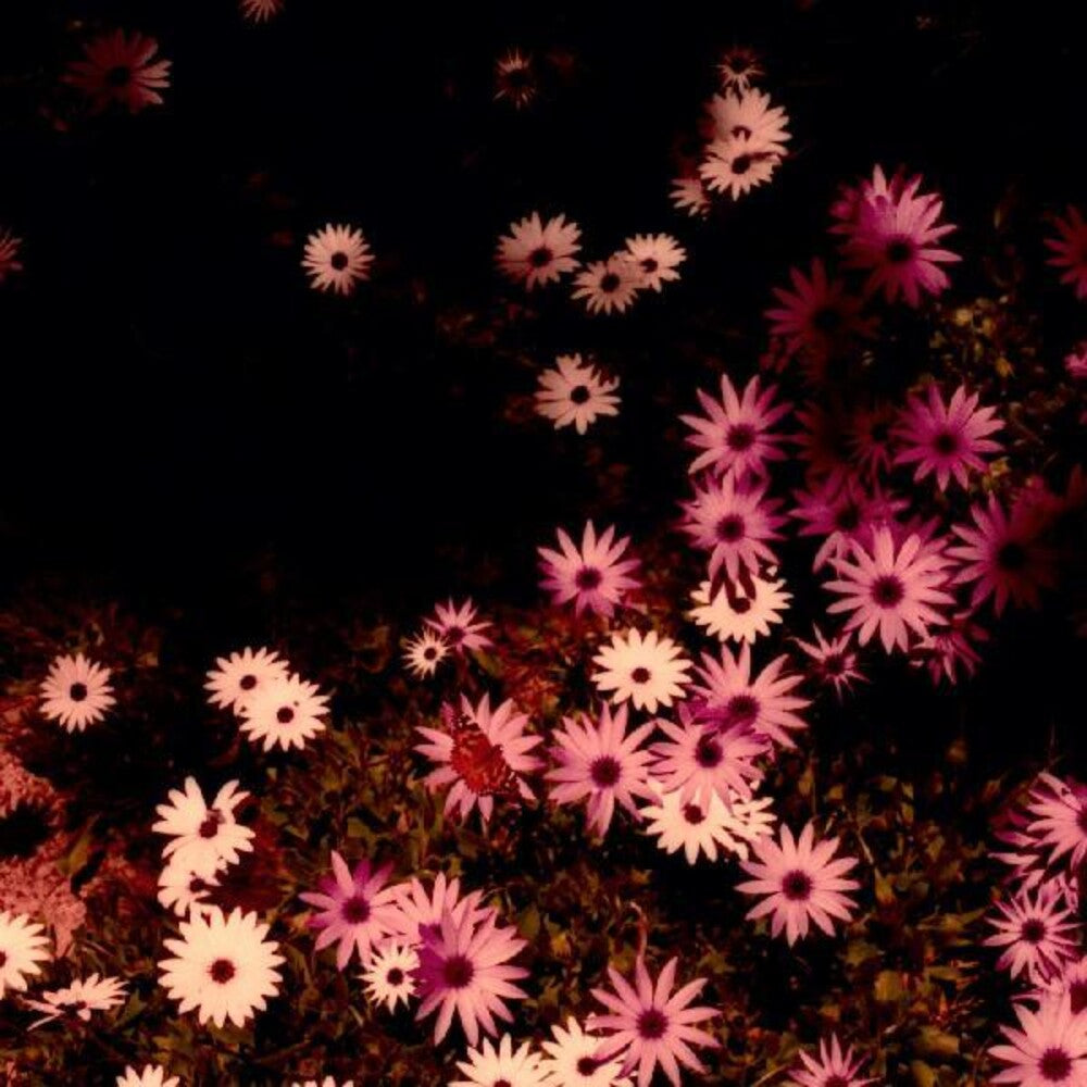 Babydoll (Wsv) [Indie Exclusive]