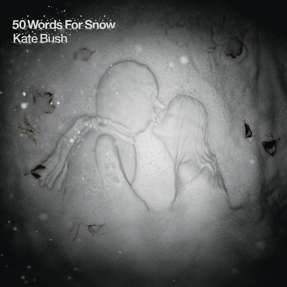 the album cover for Kate Bush - 50 Words For Snow: Remastered [2LP]
