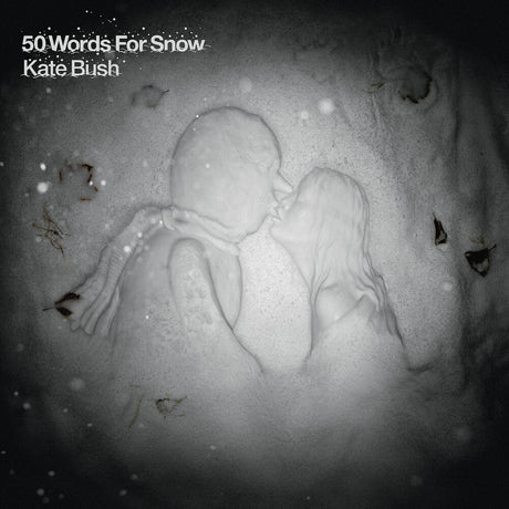 the album cover for Kate Bush - 50 Words For Snow: Remastered [2LP]