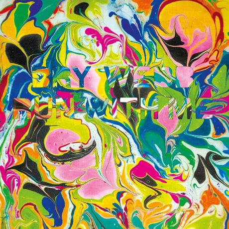 the album cover for Bry Webb - Run With Me (Uk)