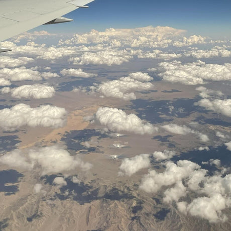 the album cover for Cella Hollander - 2nd Draft