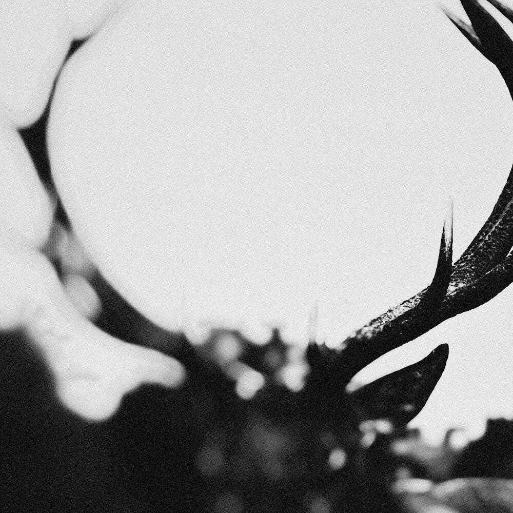 the album cover for Ihsahn - Ihsahn (Orchestral Version) Clear W/ Black Smoke