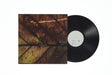 the album cover for Pay Money To My Pain - Gene [Limited Edition] [180 Gram]