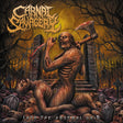 the album cover for Carnal Savagery - Into The Abysmal Void [Colored Vinyl] [Clear Vinyl] [Limited Edition] (Ylw)