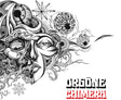 the album cover for Orgone - Chimera [LP]
