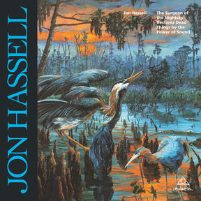 the album cover for Jon Hassell - Surgeon Of The Nightsky Restores Dead Things By