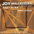 the album cover for Marley Marl - Joy (Hallelujah)
