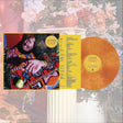the album cover for NYSSA - Shake Me Where I'm Foolish