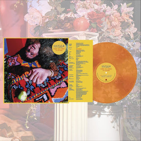 the album cover for NYSSA - Shake Me Where I'm Foolish