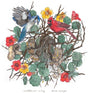 the album cover for Nathaniel Riley - Bird Songs