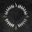 the album cover for Our Hollow, Our Home - Burn In The Flood Deluxe (Blk) [Colored Vinyl] (Gol) [Limited Edition]